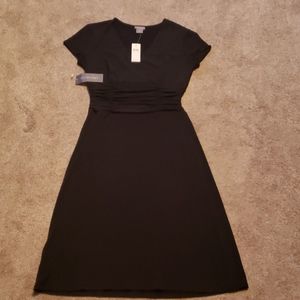 Ann Taylor Dress